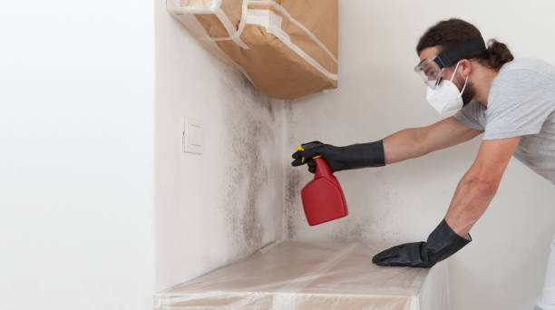 Professional Black Mold Remediation technician working in Caldwell, NJ