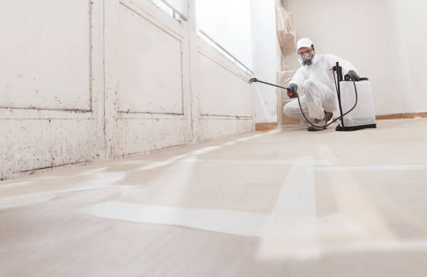 24/7 Emergency Black Mold Remediation experts in Caldwell, NJ